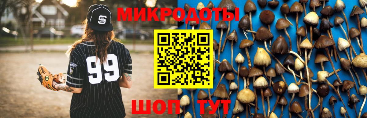 Псилоцибиновые грибы мицелий  Псилоцибиновые грибы прущие грибы  Вход с VPN  Россошь 