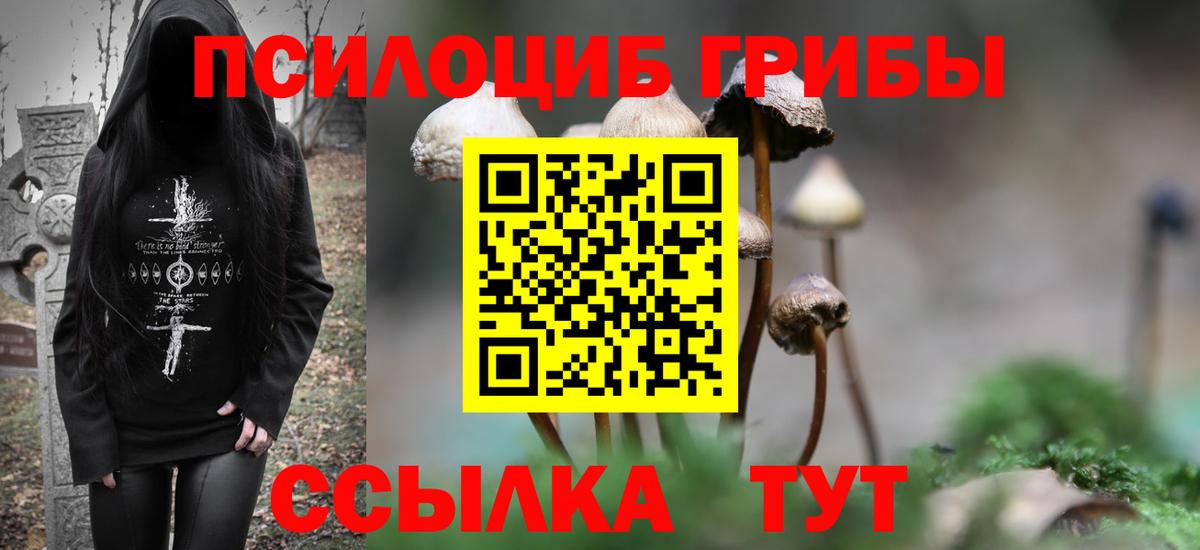 Галлюциногенные грибы MAGIC MUSHROOMS Россошь